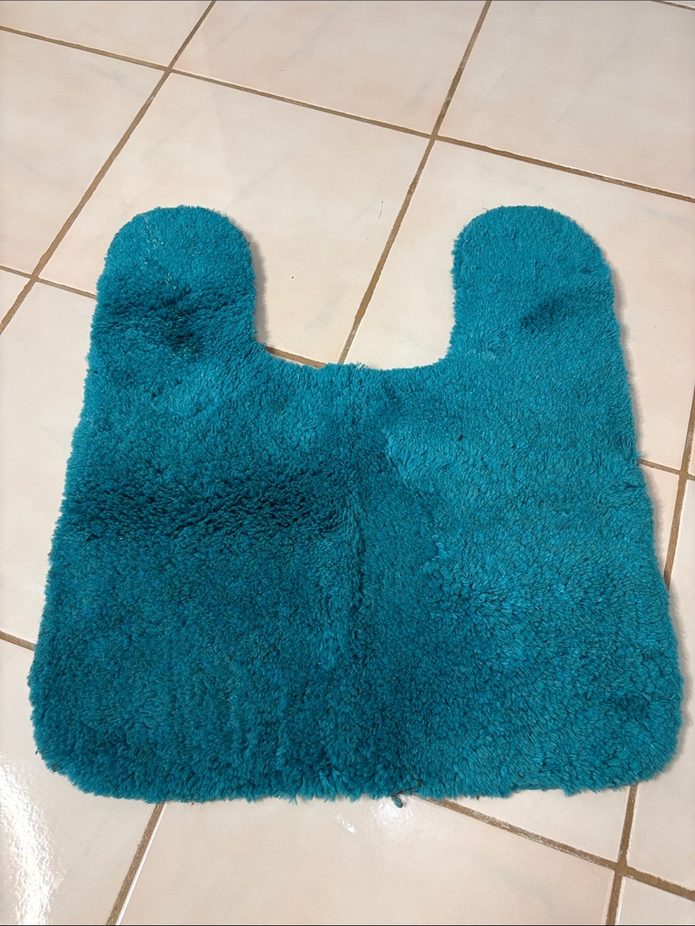 Plush Teal Contour Bath Rug - Soft Shag Bath Accessory